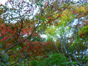 DSCN0117