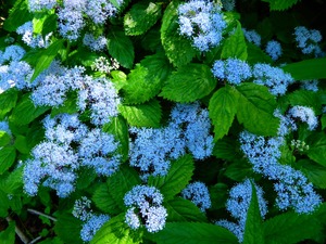 DSCN2203