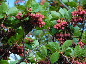 DSCN0161