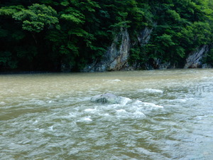 DSCN0464