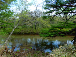 DSCN0658