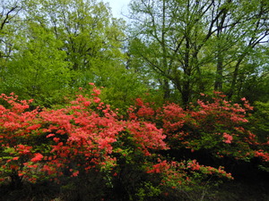 DSCN0182