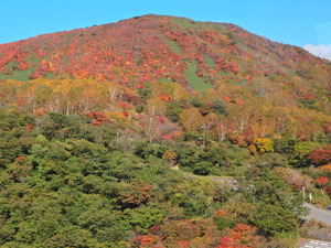 DSCN9754