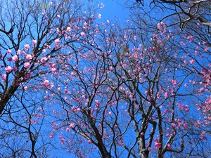 DSCN0491