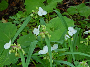 DSCN0145