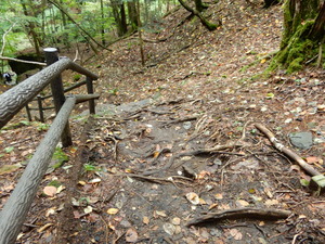 DSCN0734