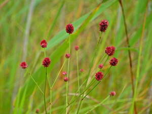 DSCN9751