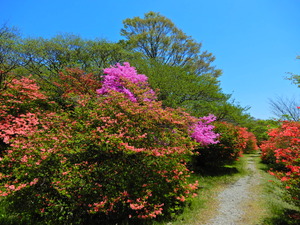 DSCN9625