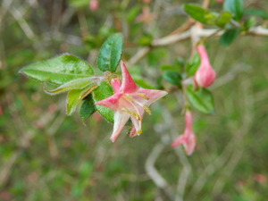 DSCN0642