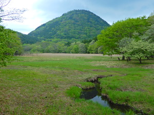 DSCN9565