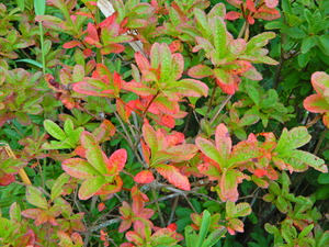 DSCN0182