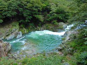 DSCN9419