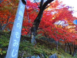 DSCN2178