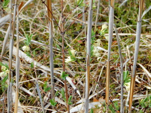DSCN0758