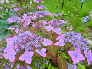 DSCN0176