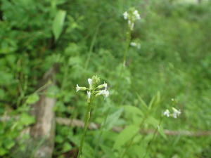 P6100129