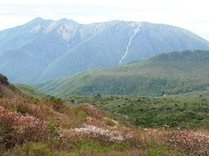 P5290375