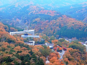 DSCN2606