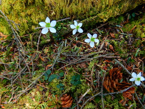 DSCN0184