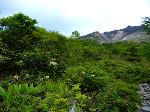 DSCN9894
