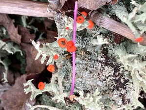 IMG_9111