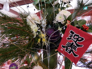 DSCN0135