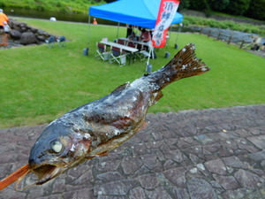 DSCN9643