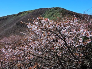 DSCN0107