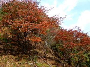 DSCN9316