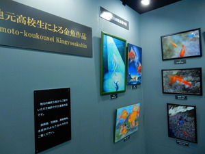 DSCN0850