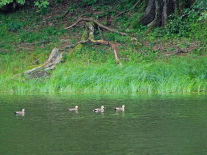 DSCN0064