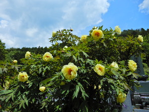 DSCN9330