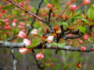 DSCN0676