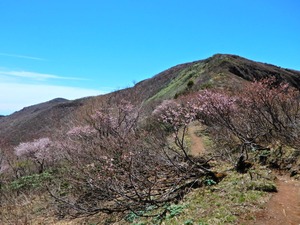 DSCN0143