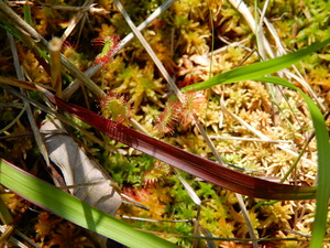 DSCN0786