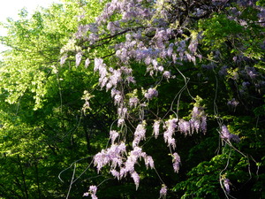 DSCN0030
