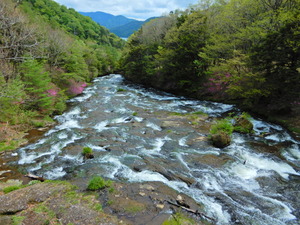 DSCN9777