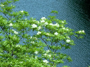 DSCN9713