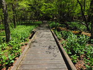 DSCN0340
