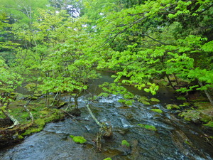 DSCN9517