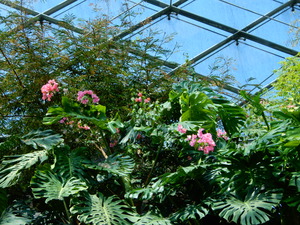 DSCN0882