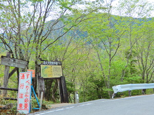 DSCN9940
