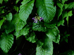 DSCN9569