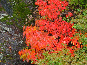 DSCN0047