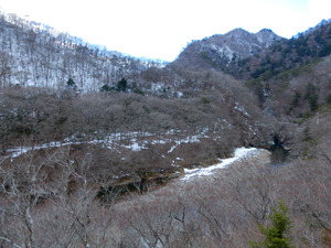 DSCN8958