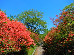 DSCN9653