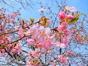 DSCN9431