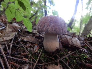 DSCN9685
