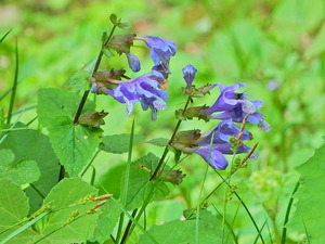 DSCN9811
