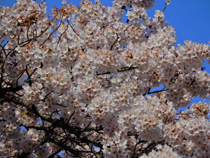 DSCN2895